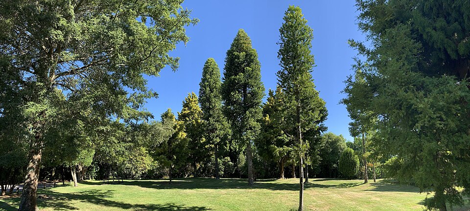 Waipahihi Botanical Gardens（New Zealand）