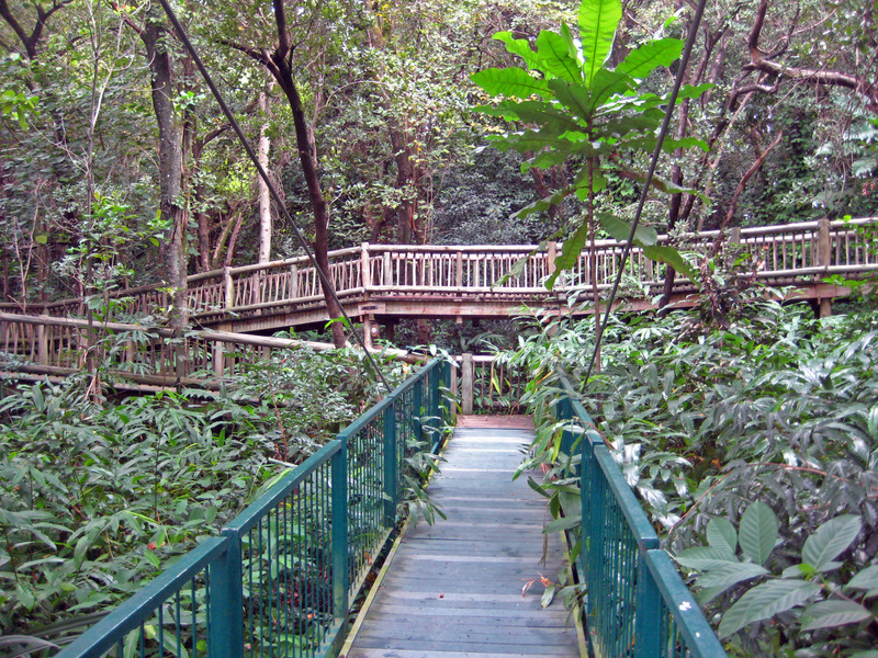 Lowveld National Botanical Garden（South Africa）