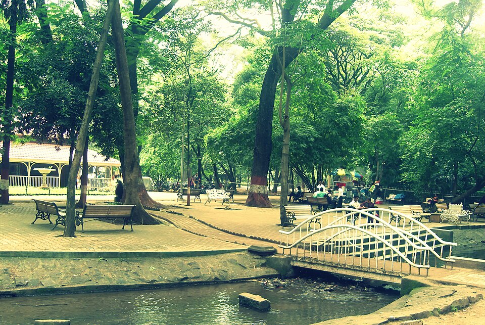 Empress Botanical Garden（India）