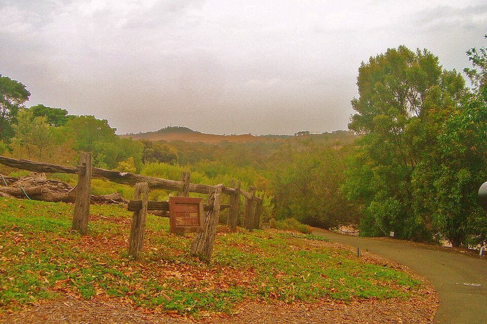 Mount Annan Botanic Garden（Australia）