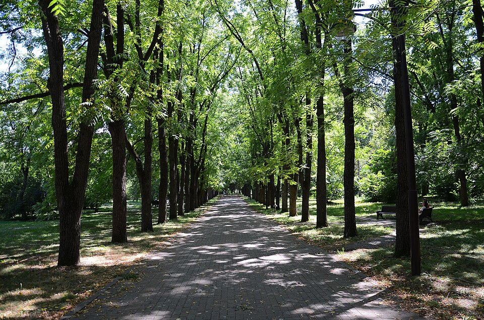 Botanical Garden named after I.S. Kosenko（Russia）