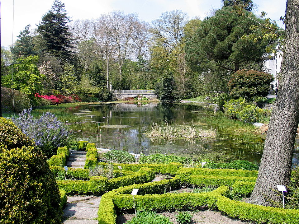 Ghent University Botanical Garden（Belgium）