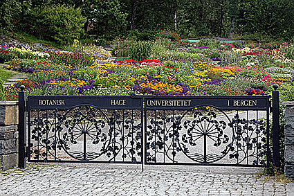 Bergen Arboretum and Botanical Garden, Milde（Norway）