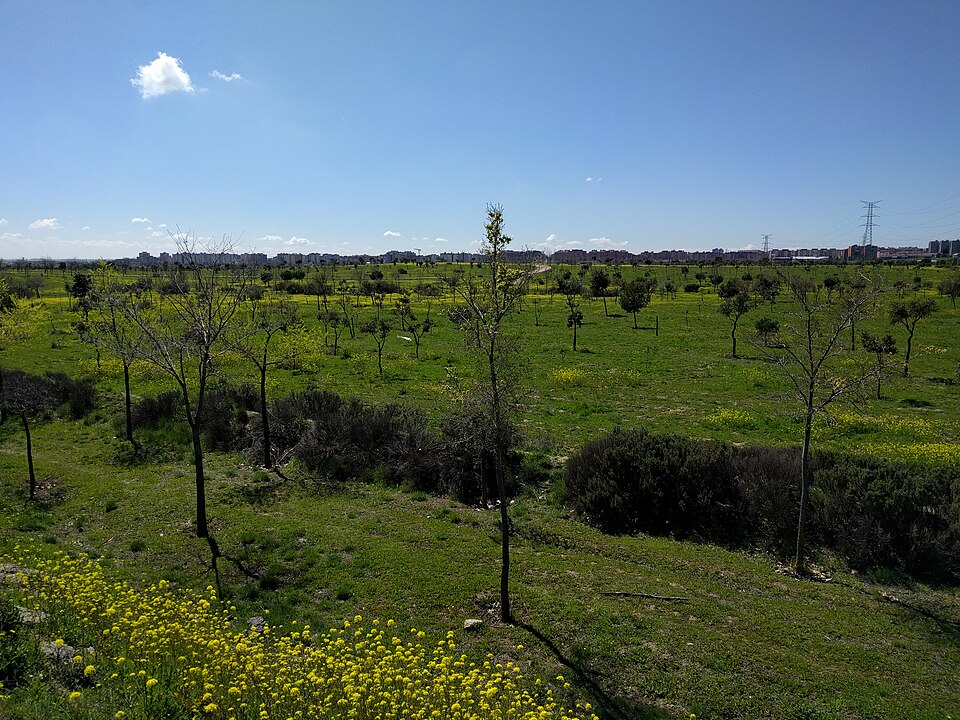 Parque Forestal Periurbano Bosquesur（Spain）