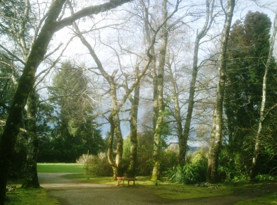 Jardín Botánico de la Universidad Austral de Chile（Chile）