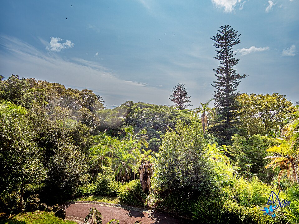 Jardim António Borges（Portugal）