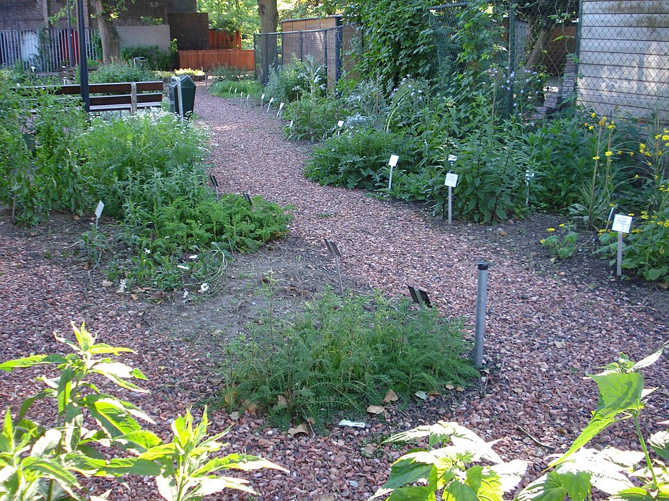 Botanical Garden Afrikaanderwijk（Netherlands）