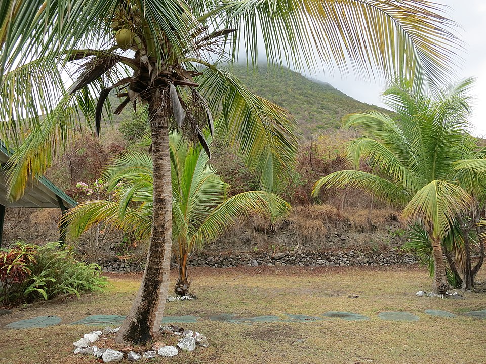 Botanical garden of Sint Eustatius（Netherlands）