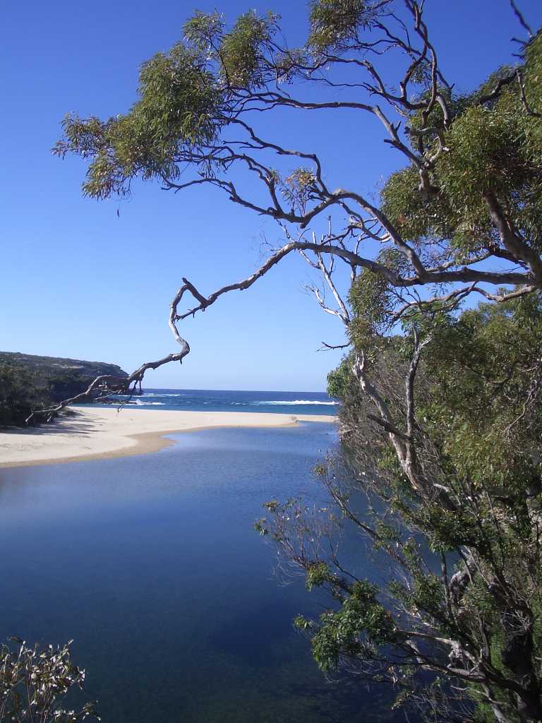 Royal National Park（Australia）