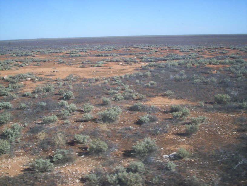 Nullarbor National Park（Australia）
