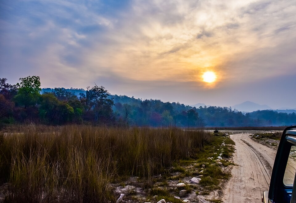Rajaji National Park（India）