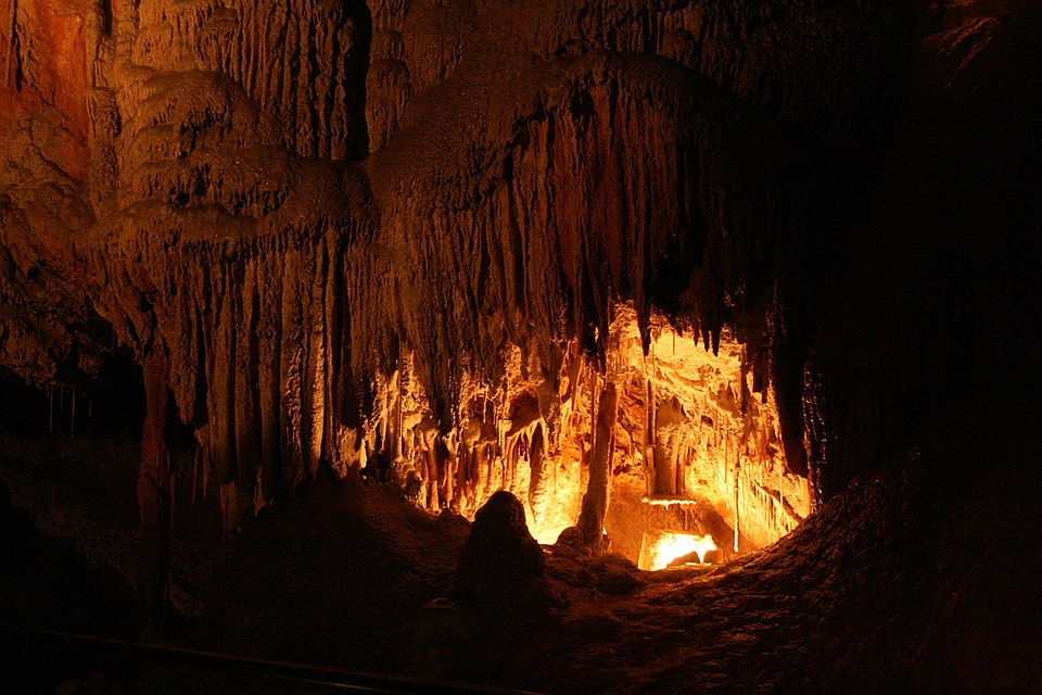Mole Creek Karst National Park（Australia）