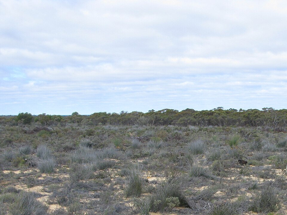 Boorabbin National Park（Australia）