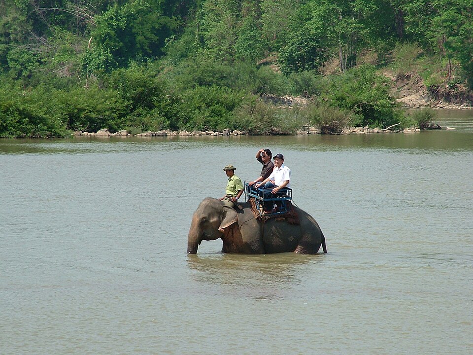 Yok Don National Park（Vietnam）