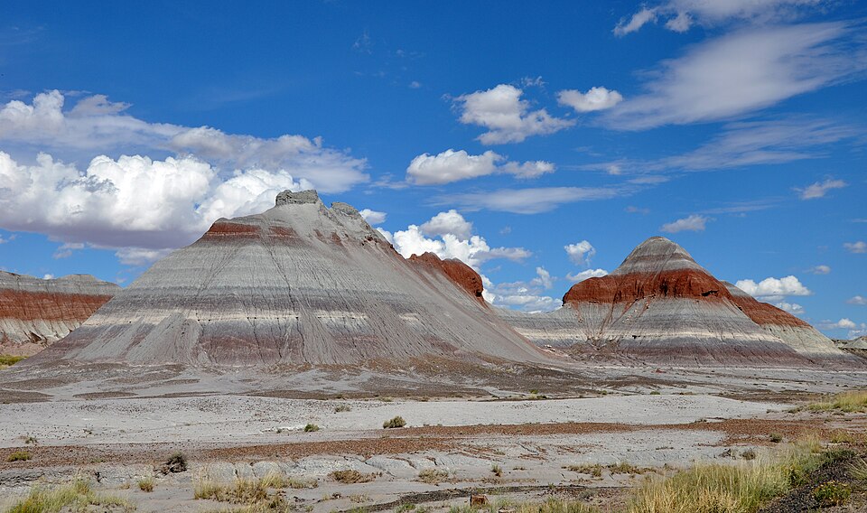 Petrified Forest National Park（United States）