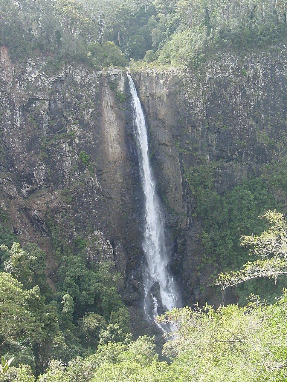 Biriwal Bulga National Park（Australia）