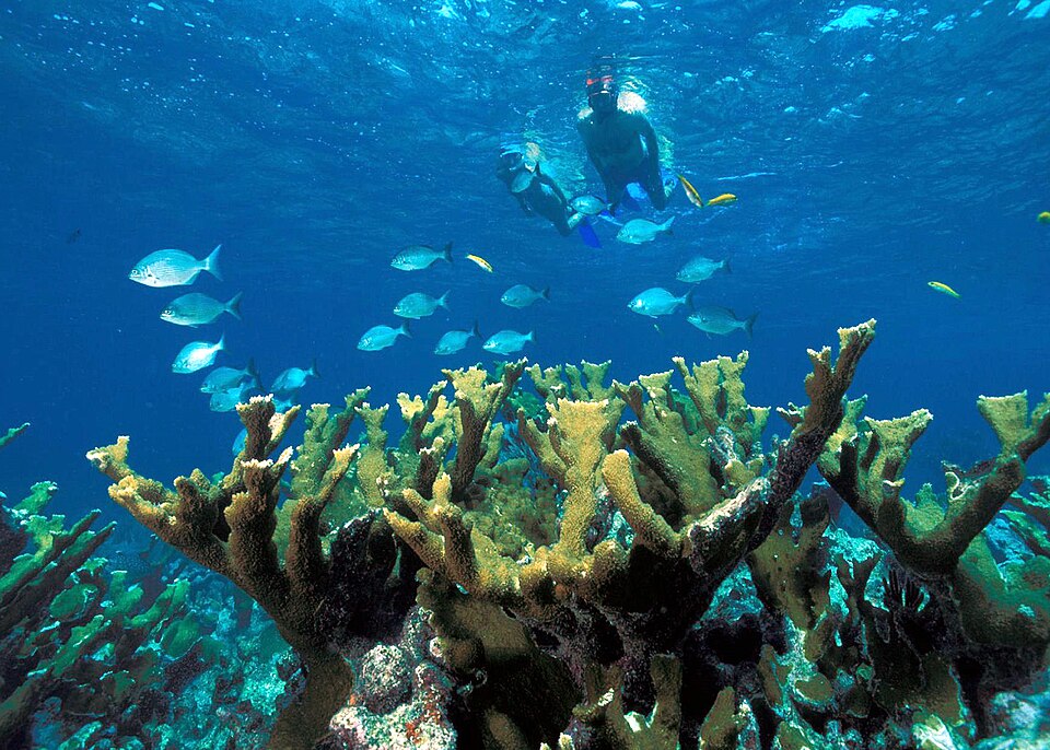 Biscayne National Park（United States）