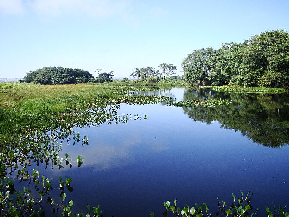 Ilha Grande National Park（Brazil）