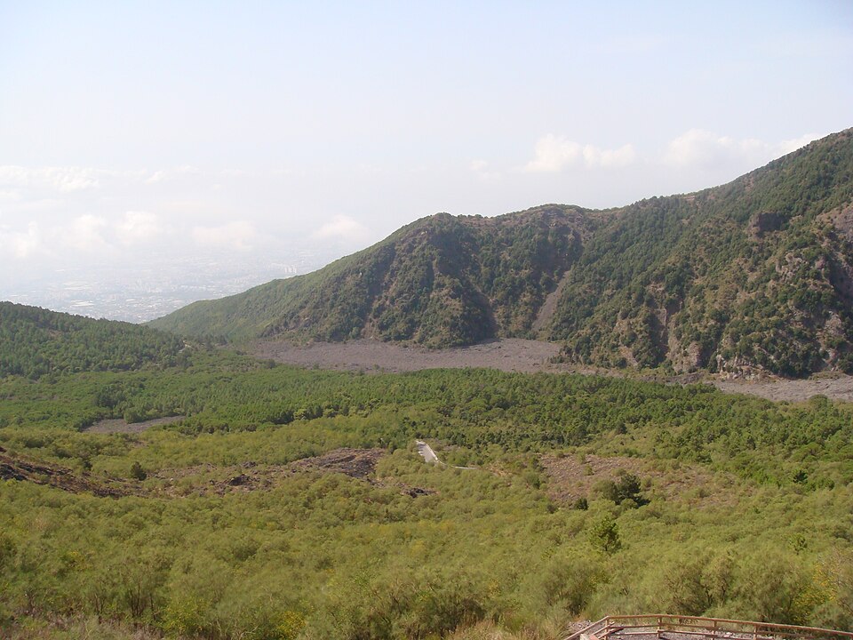 Vesuvius National Park（Italy）