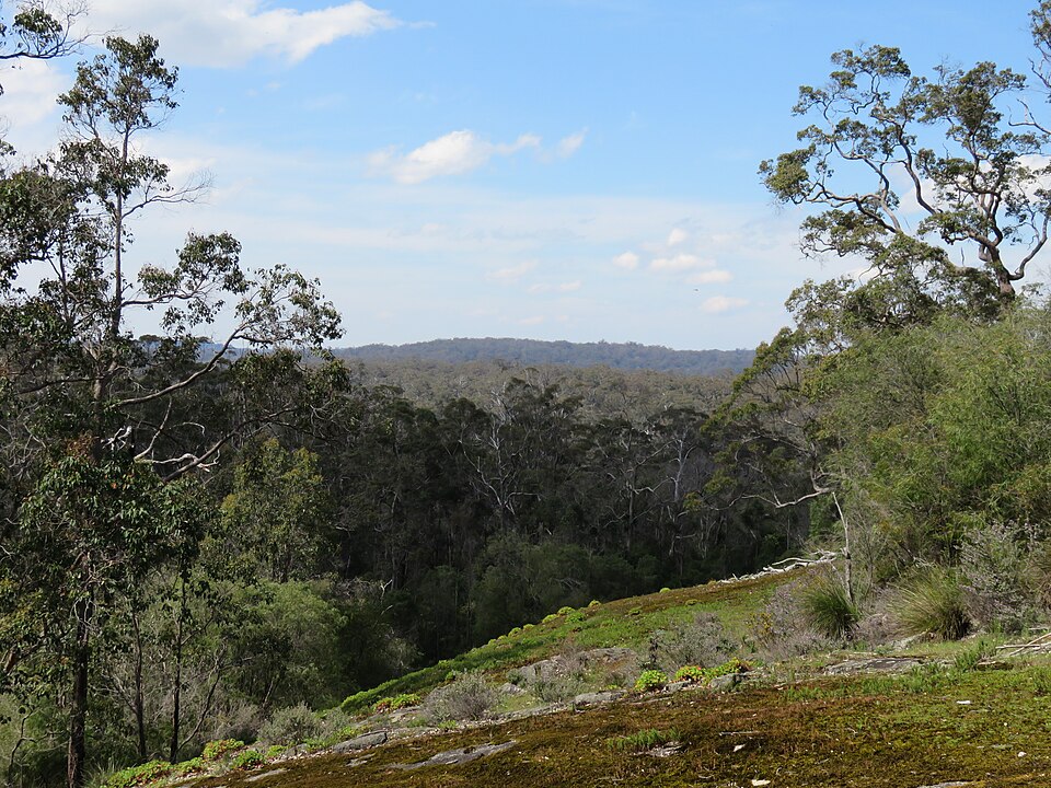 Shannon National Park（Australia）