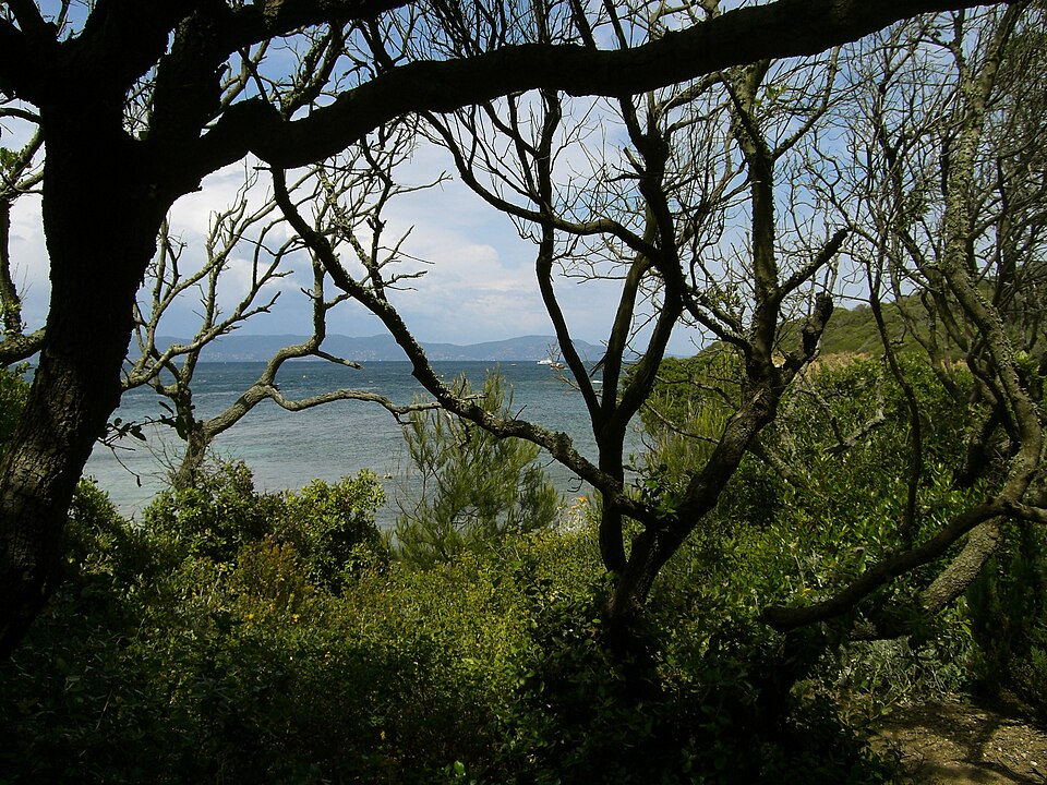 Port-Cros National Park（France）