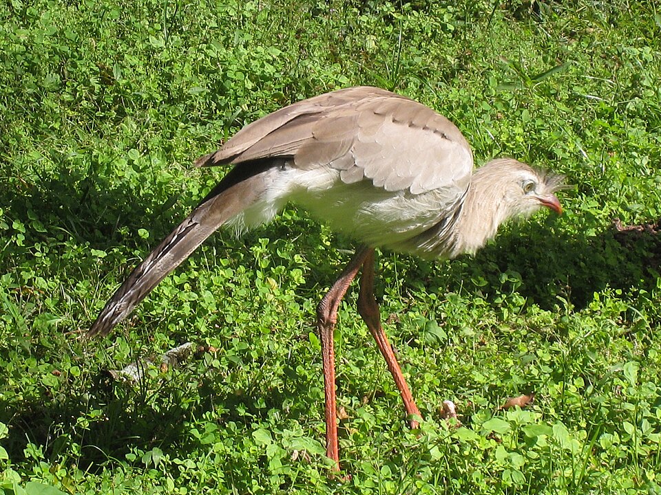 El Rey National Park（Argentina）