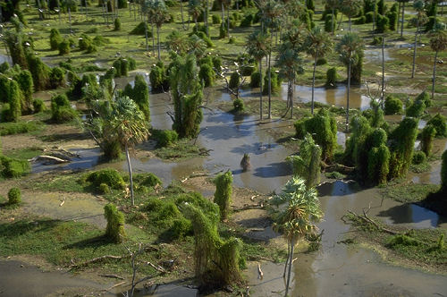 Río Pilcomayo National Park（Argentina）