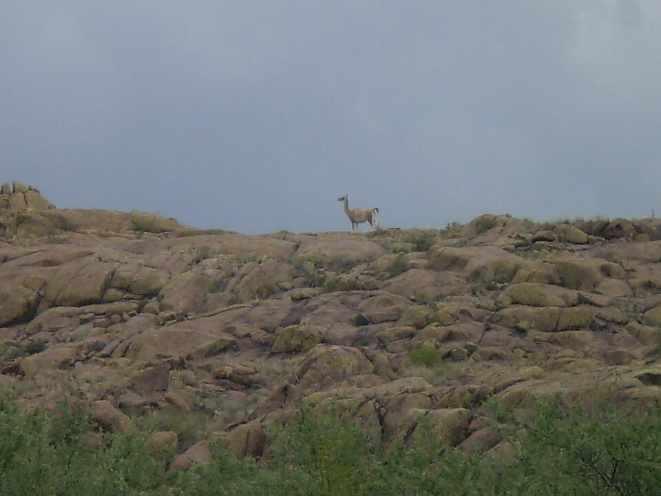 Lihué Calel National Park（Argentina）