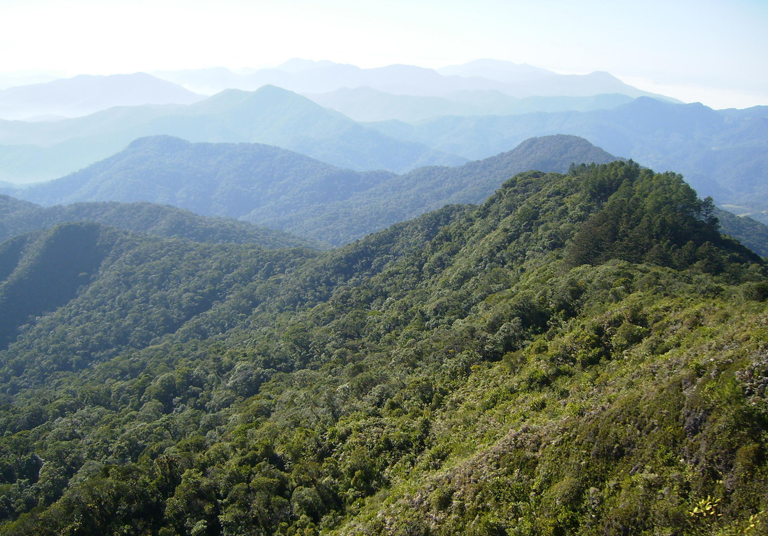 Serra do Itajaí National Park（Brazil）