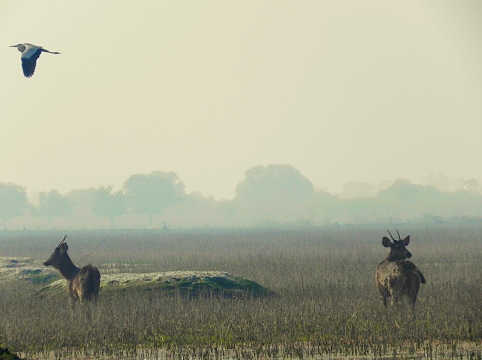 Kevladev National Park（India）