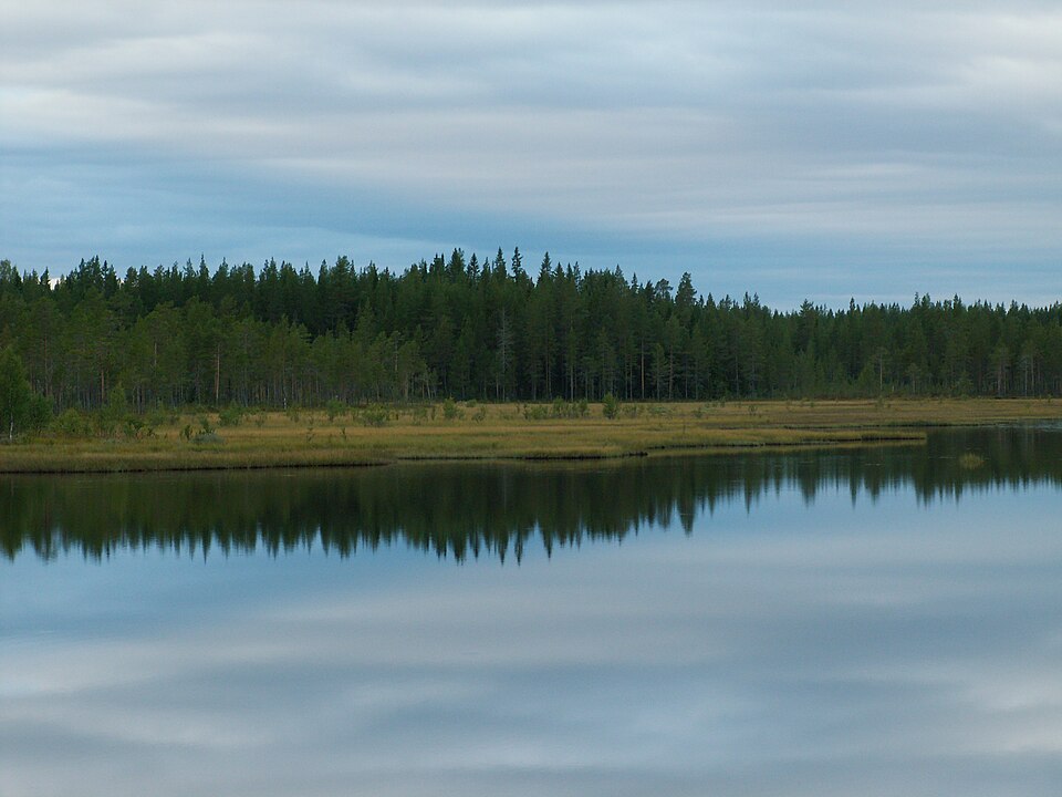 Hamra National Park（Sweden）