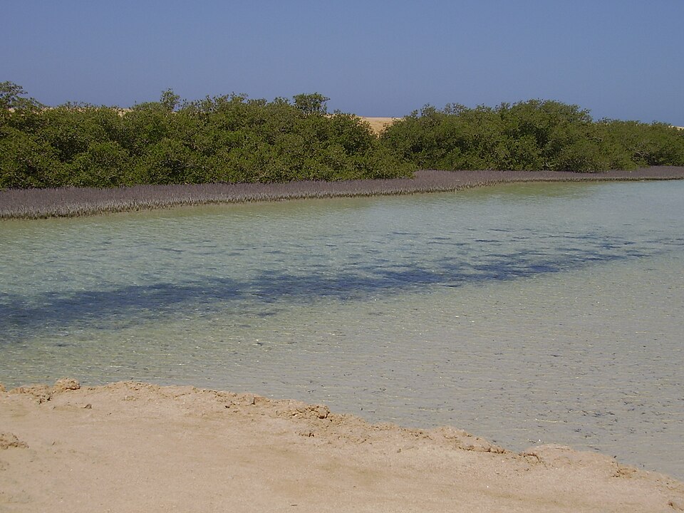Ras Muhammad National Park（Egypt）