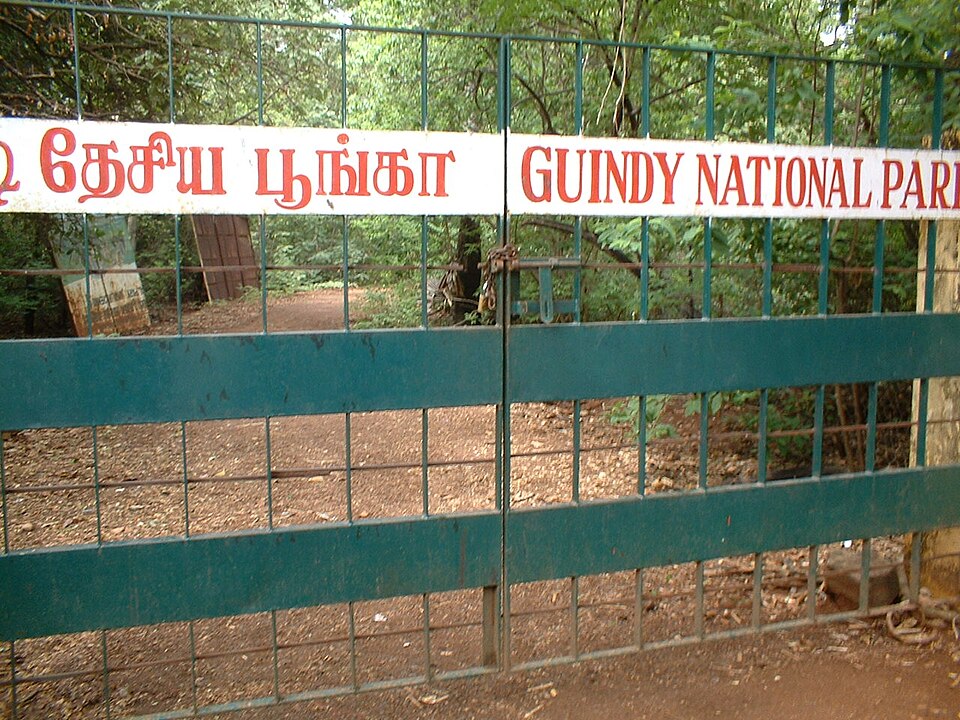 Guindy National Park（India）