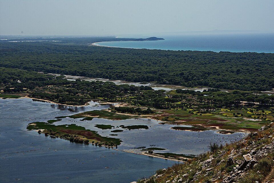 Kotychi and Strofylia Wetlands National Park（Greece）