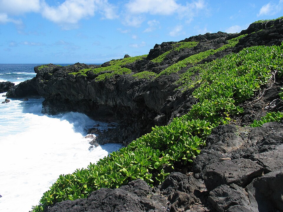 Haleakalā National Park（United States）