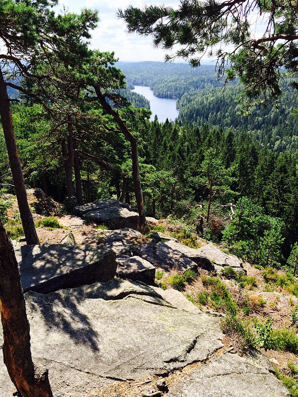 Østmarka National Park（Norway）