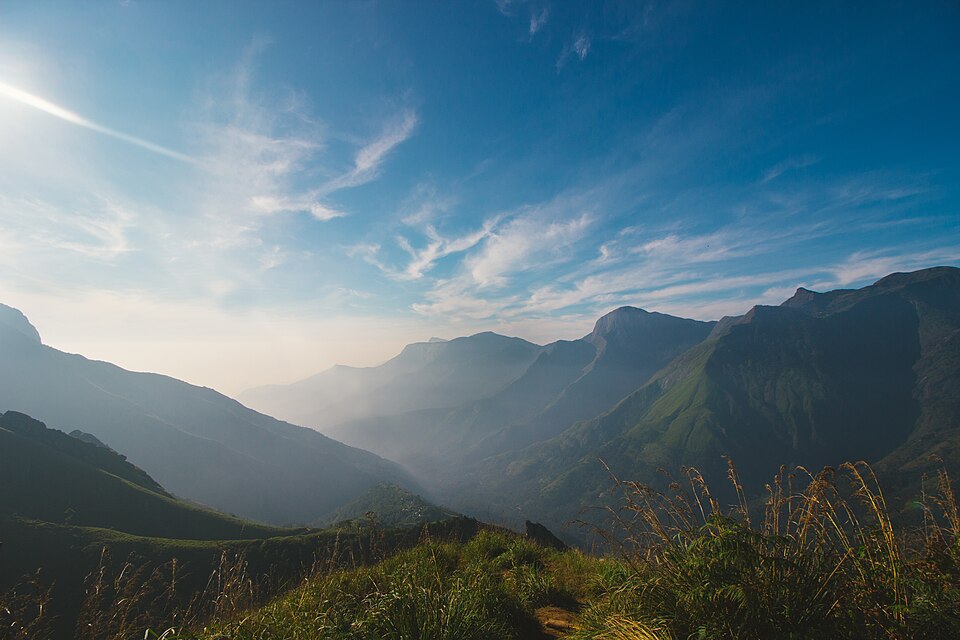 Pampadum Shola National Park（India）
