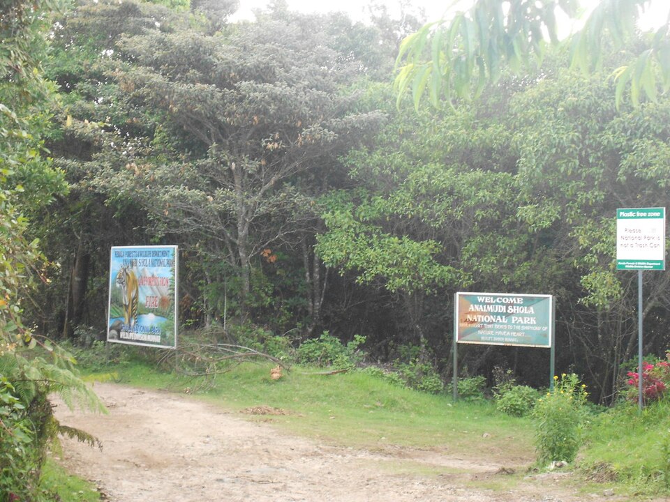 Anamudi Shola National Park（India）