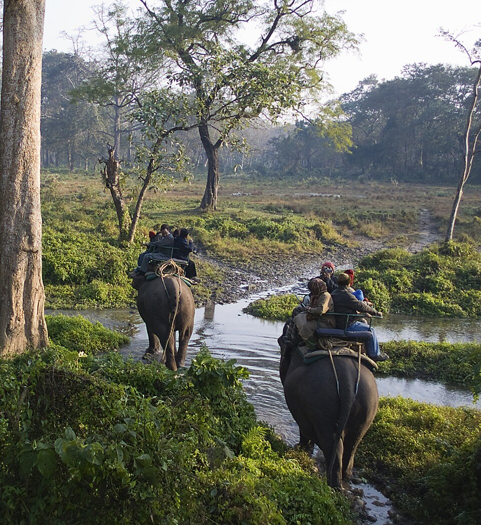 Jaldapara National Park（India）