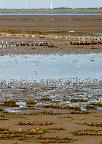 Wadden Sea National Park（Denmark）