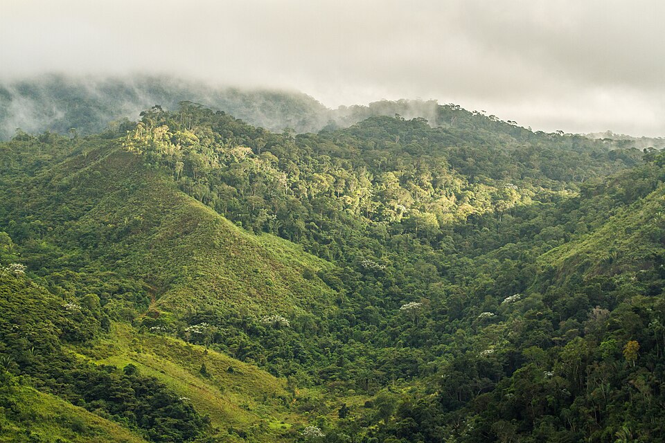 Alto Cariri National Park（Brazil）
