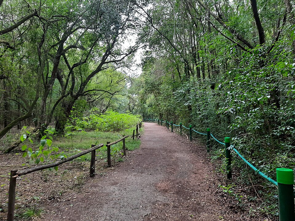 Ciervo de los Pantanos National Park（Argentina）
