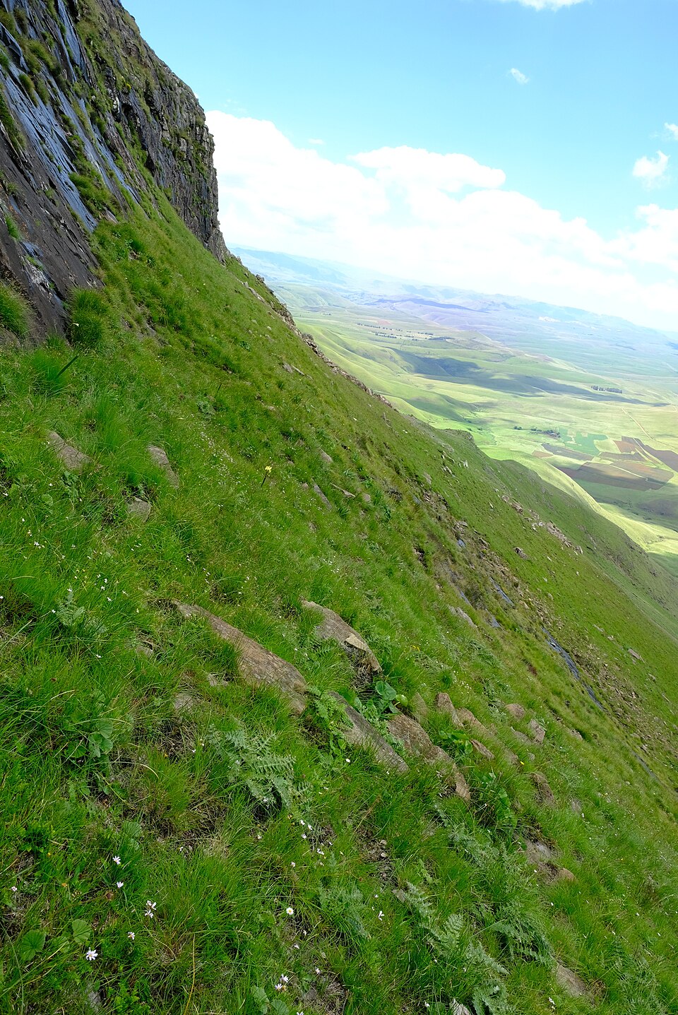 Grassland National Park（South Africa）