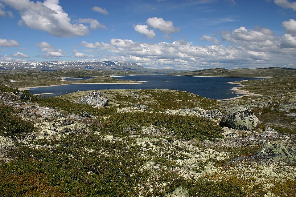Hardangervidda National Park（Norway）