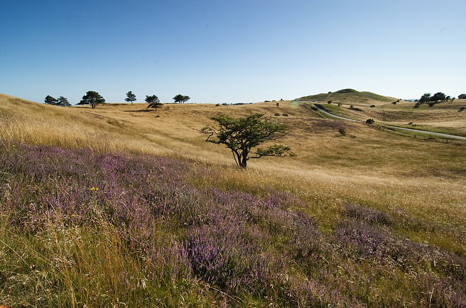 Mols Bjerge National Park（Denmark）