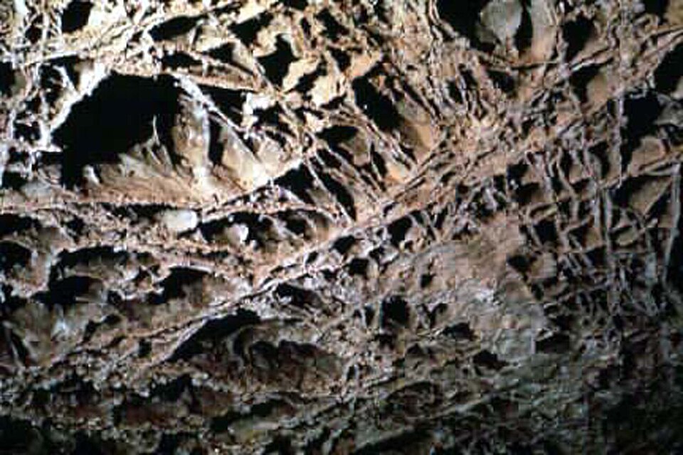 Wind Cave National Park（United States）