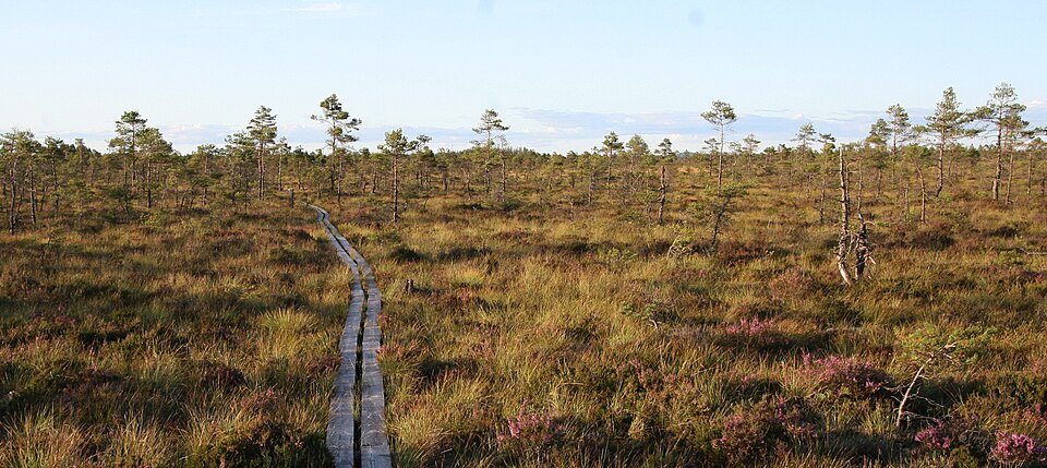 Store Mosse National Park（Sweden）