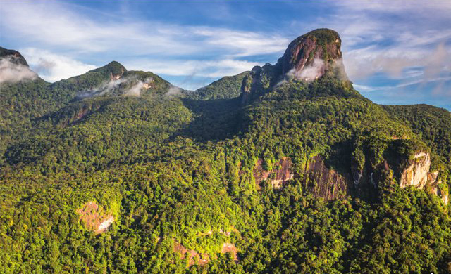 Serra da Mocidade National Park（Brazil）