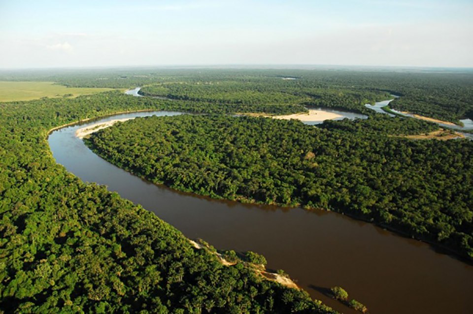 Viruá National Park（Brazil）