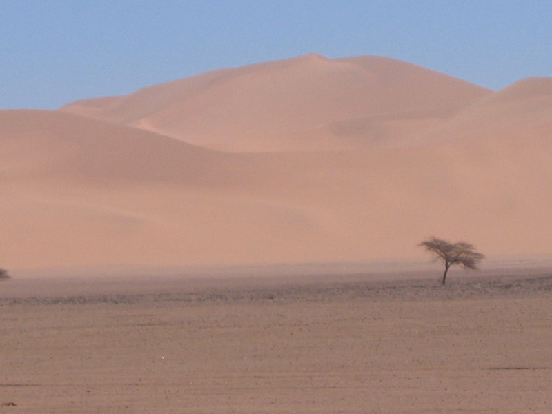 Gabal Elba National Park（Egypt）